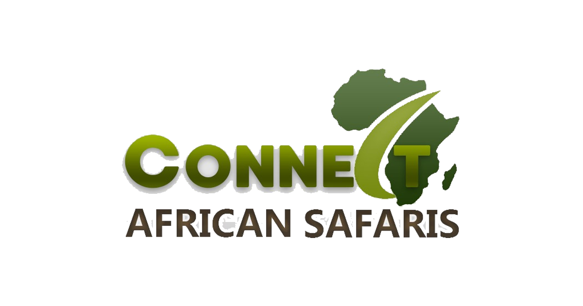 Connect African Safari